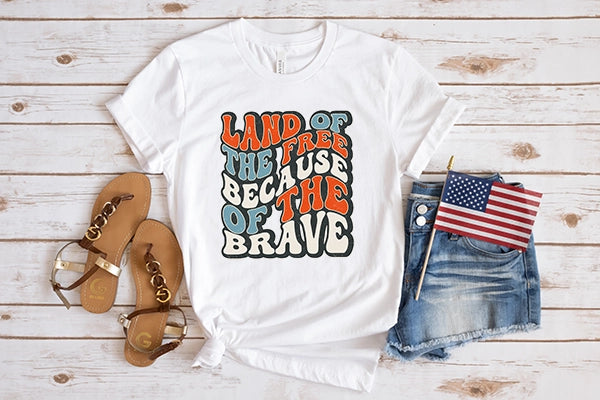 Land of the Free Because of the Brave Wavy Text Retro Patriotic DTF Transfer